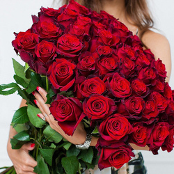 51 красная роза 60 см.