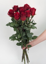 9 красных роз 60 см