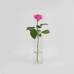 Роза розовая 40 см. 1 шт.