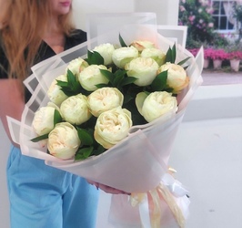 15 кремовых пионовидных роз с зеленью