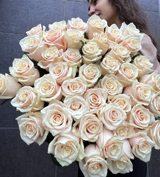 Роза Голландия кремовая 60 см.