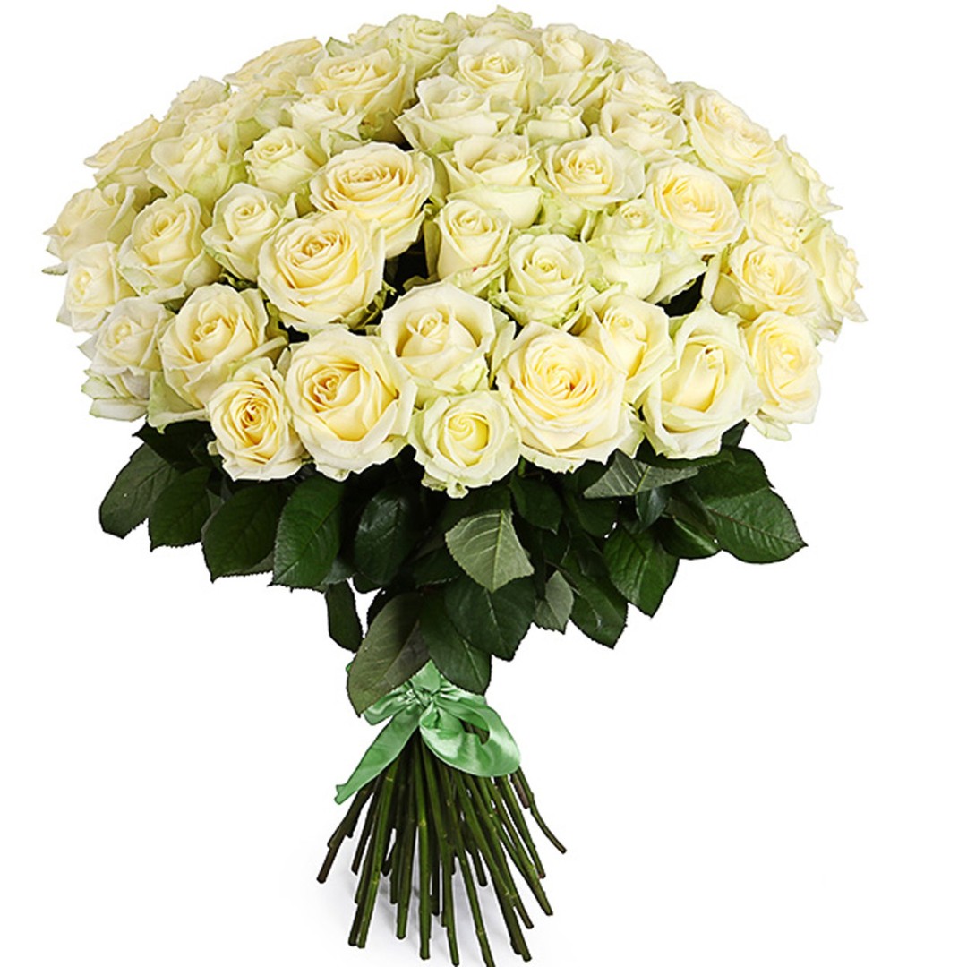 51 белая роза 60 см.