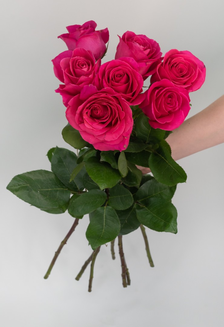 7 розовых роз 60 см.
